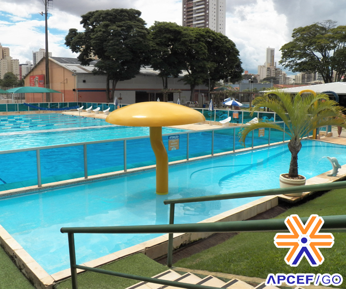 APCEF/SP  Clube de xadrez da APCEF/SP tem espaço reservado em